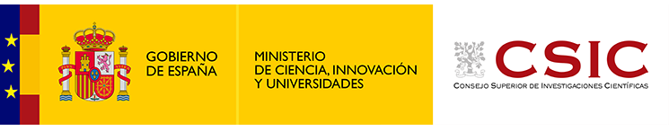 csic logo 2